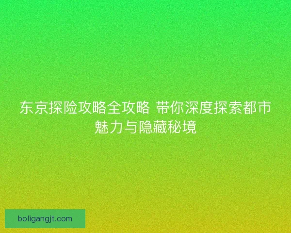 东京探险攻略全攻略 带你深度探索都市魅力与隐藏秘境